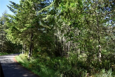 18224 248th Ave E, Orting, WA 98360 - photo 5