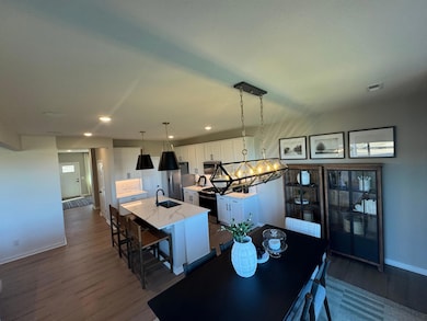 10422 Hadley Ave S, Cottage Grove, MN 55016 - photo 6