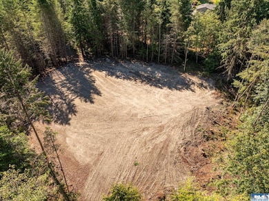 Lot 1 Sunny Dell Ln, Sequim, WA 98382 - photo 4