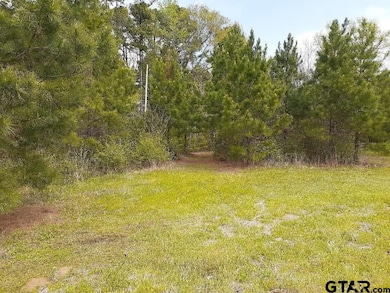 7104 Pin Oak Rd, Big Sandy, TX 75755 - photo 2