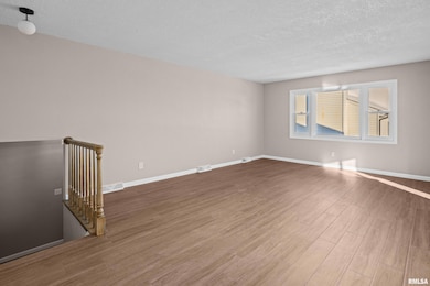 5302 16th Ave, Moline, IL 61265 - photo 3