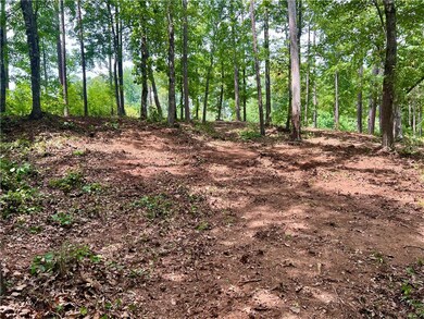 22 Waterside Point, Abbeville, SC 29620 - photo 5