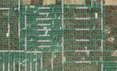 TBD NW Hemlock Ave, Dunnellon, FL 34431 - photo 4