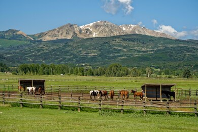 corral
