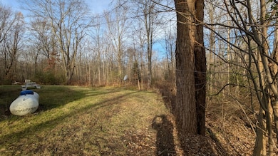 PXL_20241113_151320564