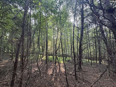 0 Shaw Rd, Woodruff, SC 29388 - photo 3