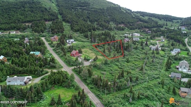 L14A B10H Harwood Cir, Anchorage, AK 99516 - photo 2