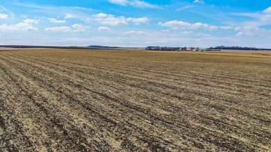 26-109-46W Verdi Twp Lincoln Co Mn, Pipestone, MN 56164 - photo 5