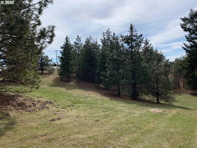 0 Mt View Rd unit 22356620, Lyle, WA 98635 - photo 4