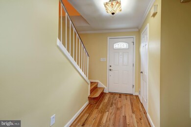 6018 Hardwick Place, Falls Church, VA 22041 - photo 3