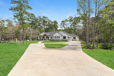 723 Bob Link St, Magnolia, TX 77355 - photo 6