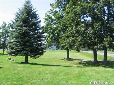 Yard/Garden