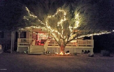 ACACIA LIGHTED TREE FRONT
