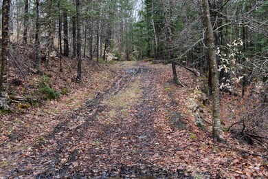 0 E Side Rd unit 4905806, Wentworth, NH 03223 - photo 2