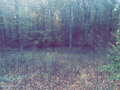 0 Natchez Trace Dr, Lexington, TN 38351 - photo 7