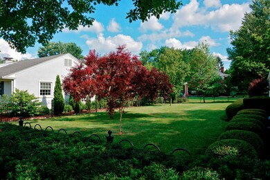 Rear yard