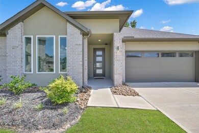 14304 Yellow Hawthorn Ct, Shenandoah, TX 77384 - photo 4