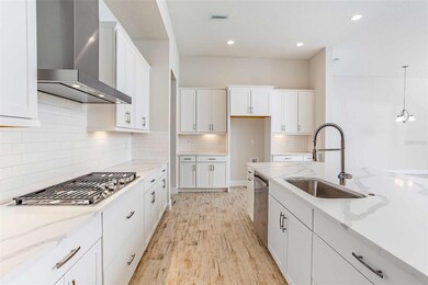 6102 Hidden Branch Dr, Apollo Beach, FL 33572 - photo 4