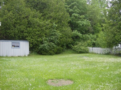 8 Backyard