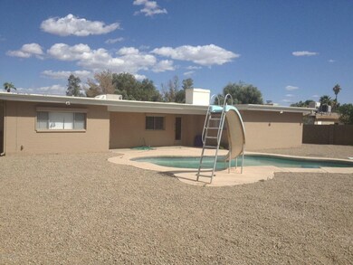 Back yard