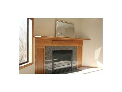 Fireplace.