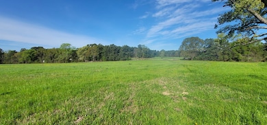 50.18 Acres Fm 2782, Nacogdoches, TX 75964 - photo 2