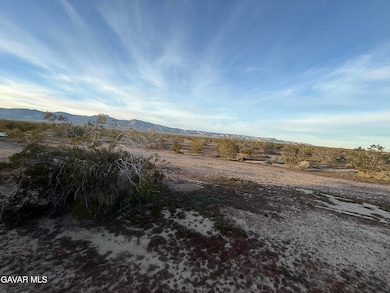 0 Vac 10th and Wonder Ave unit 25009115, Mojave, CA 93501 - photo 6