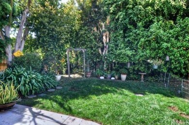 Another View of the Backyard