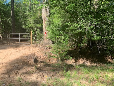 TBD N Lakewood Dr, Splendora, TX 77372 - photo 5