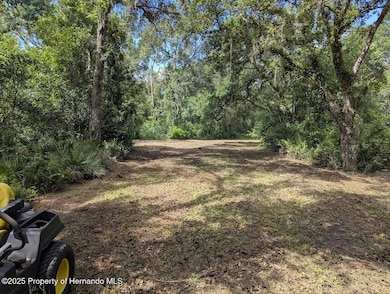 9001 Treiman Blvd, Rdg Mnr Est, FL 33597 - photo 4