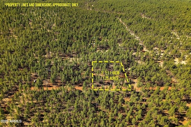 915BirdsongWay-Lakeside-AZ-ParcelLines-3