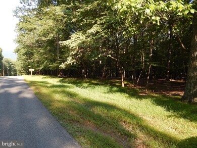 103A Sideling Mountain Trail, Great Cacapon, WV 25422 - photo 6