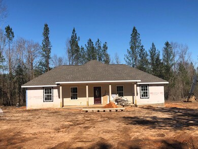 128 Bennie Wall Rd, Lucedale, MS 39452 - photo 2