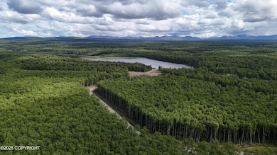 Baldy Lake Looking Northeast_2