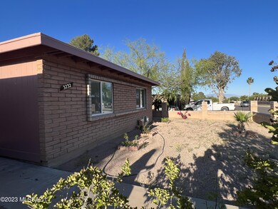 Front Yard