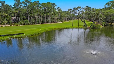 2465 the Haul Over, Johns Island, SC 29455 - photo 6