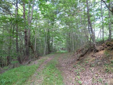 0 Pedlar River Rd unit 294062, Amherst, VA 24521 - photo 3