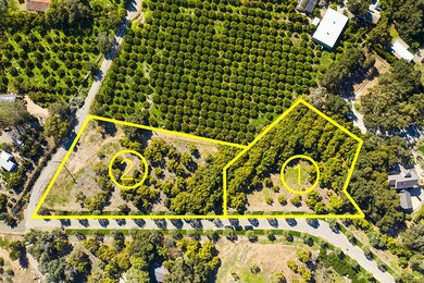 02-RMA-Santa Monica Rd_0005