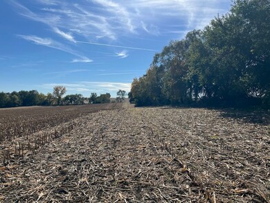 650 County Road R, Yutan, NE 68073 - photo 5