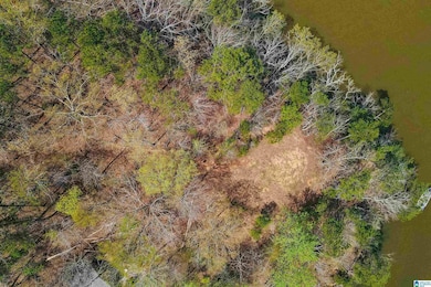 87 Water Spring Ct, Rockford, AL 35136 - photo 3