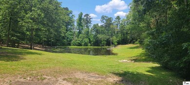 942 Claiborne Rd, Calhoun, LA 71225 - photo 6