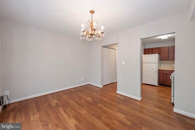 769 Delaware Ave SW unit 174, Washington, DC 20024 - photo 6