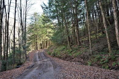 CAMP BIG SPRINGS RD.