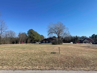 Lot 8 Killian St, Mountain View, AR 72560 - photo 5