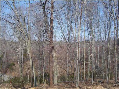 A view from the homesite
