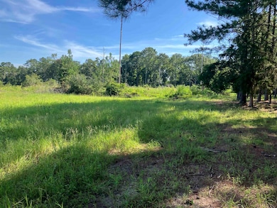 248 ac Bell Crossing Rd, Opp, AL 36467 - photo 2