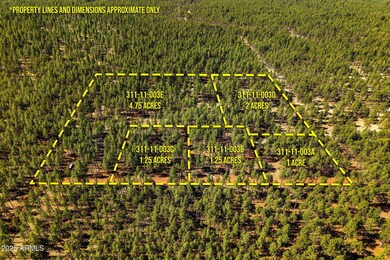 915BirdsongWay-Lakeside-AZ-ParcelLines-1