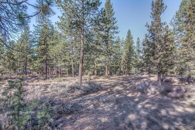 0 SW Ponderosa St unit 201800808, Bend, OR 97702 - photo 5