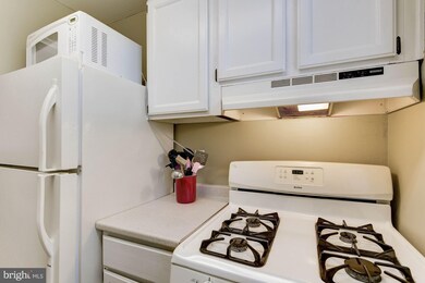 209 N Trenton St unit 2091, Arlington, VA 22203 - photo 7