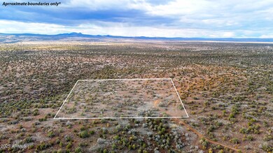 0 W Big Moon Ln Lot A -- unit 6881317, Ash Fork, AZ 86320 - photo 2